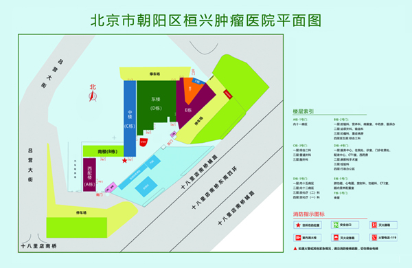 美女骚逼爆操视频网站北京市朝阳区桓兴肿瘤医院平面图